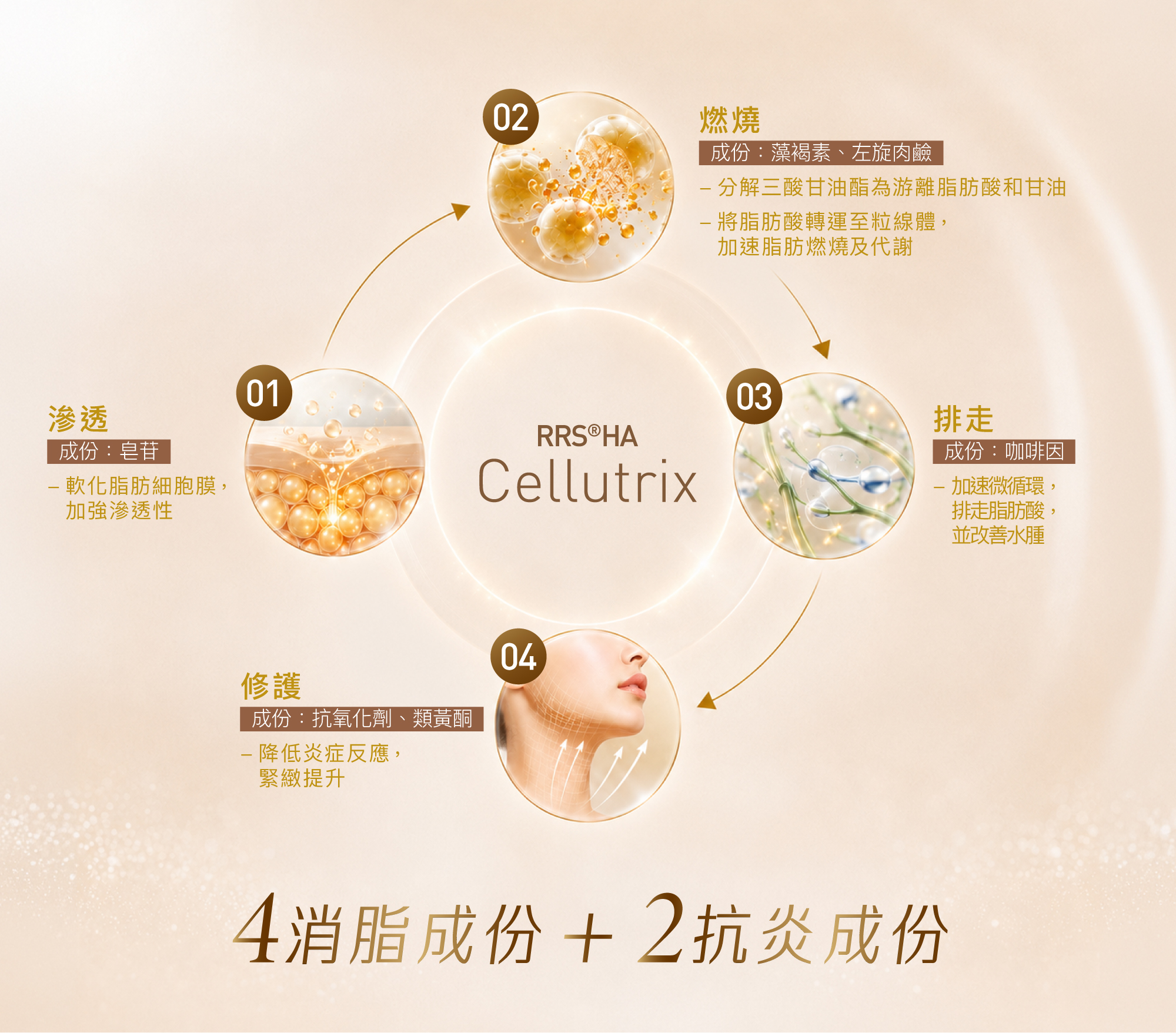 Cellutrix_web 1 aging3